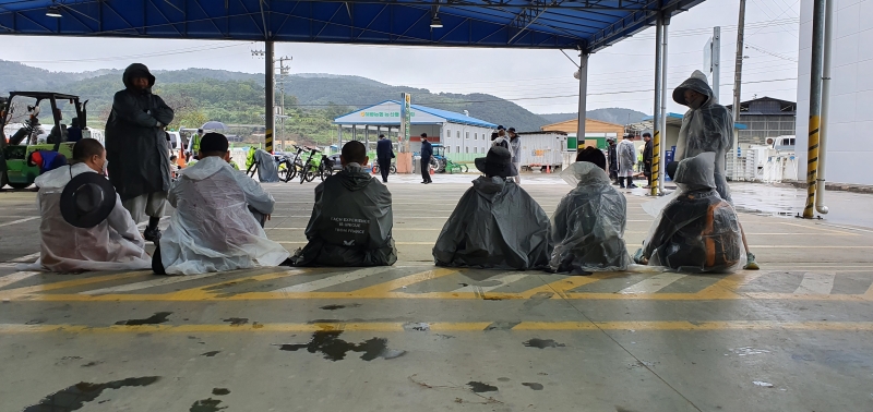 우중의 순례길 (8).jpeg